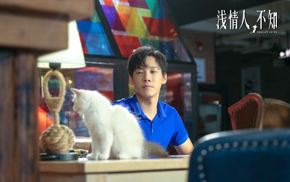 电视剧浅情人不知剧情分集介绍第11集