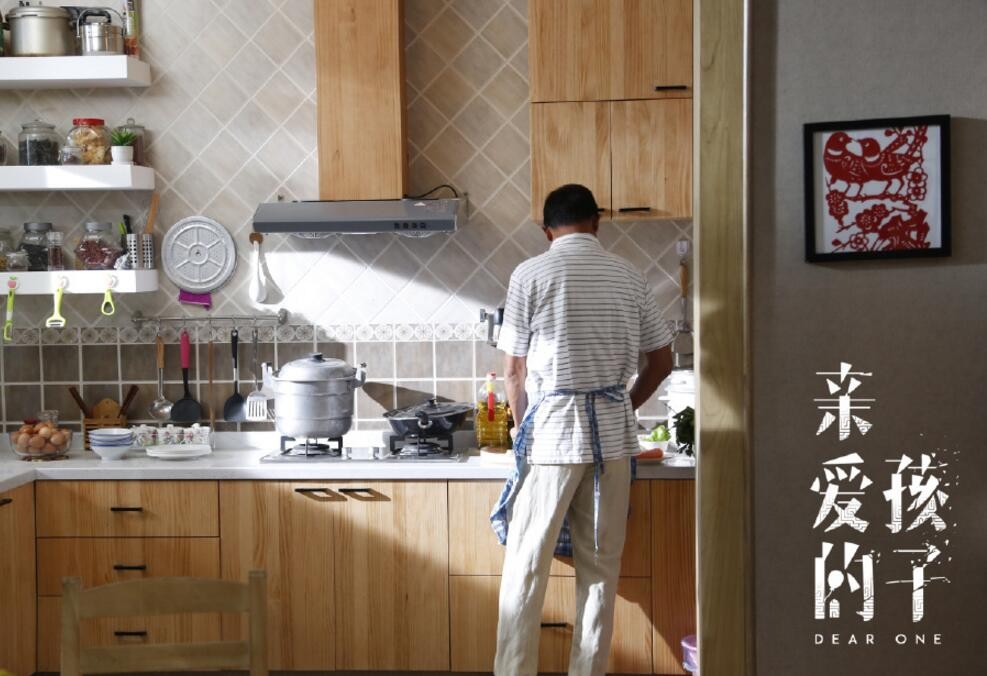 电视剧亲爱的孩子剧情分集介绍第2集