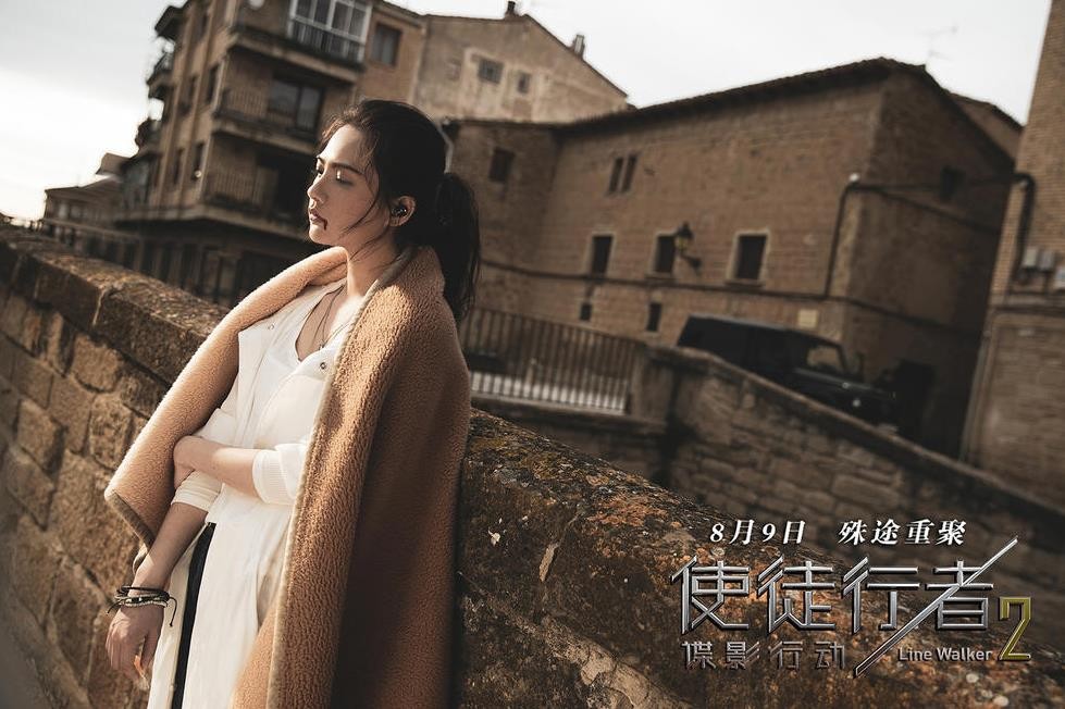 《使徒行者2：谍影行动》剧情介绍