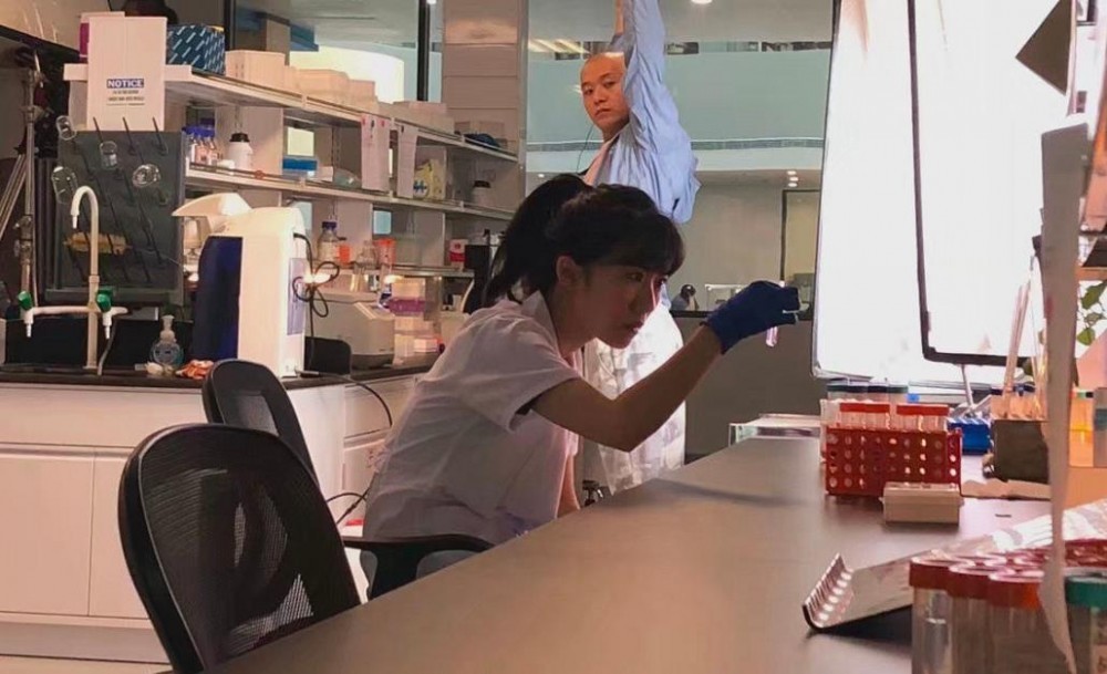 电视剧梦在海这边剧情分集介绍第6集
