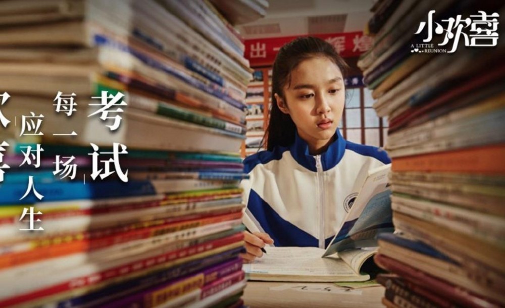 电视剧小欢喜剧情分集介绍第17集