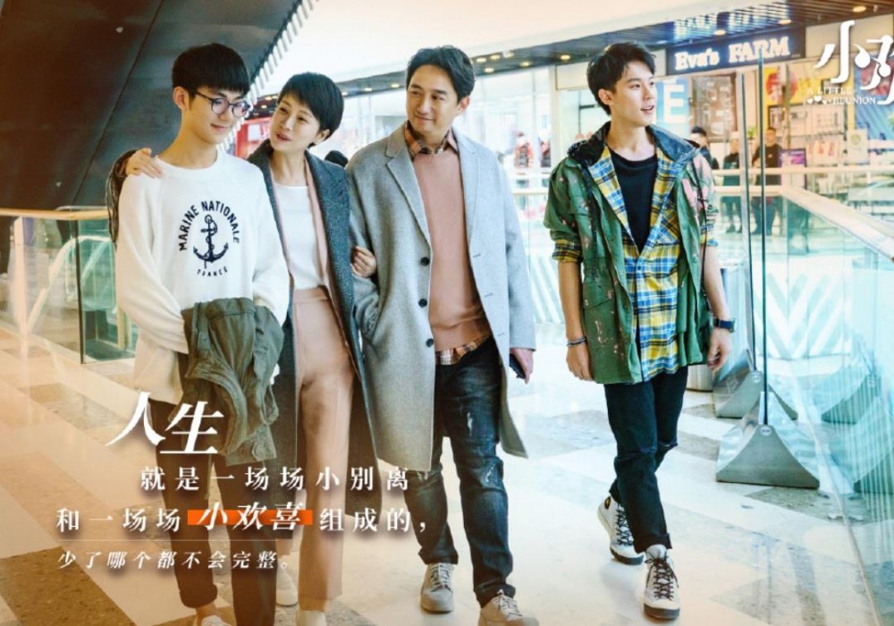 电视剧小欢喜剧情分集介绍第20集