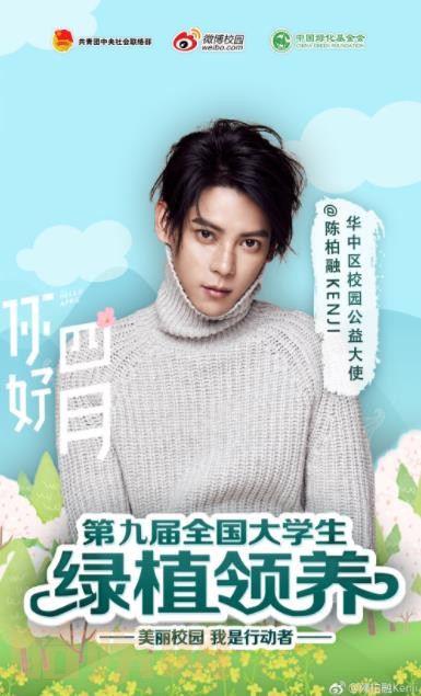 广告宣传照