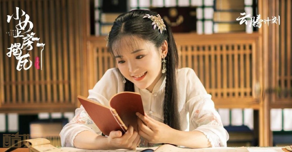 电视剧小女上房揭瓦剧情分集介绍第2集