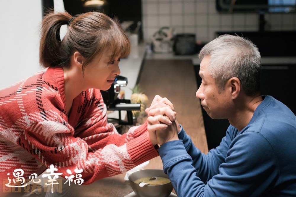 电视剧遇见幸福剧情分集介绍第3集
