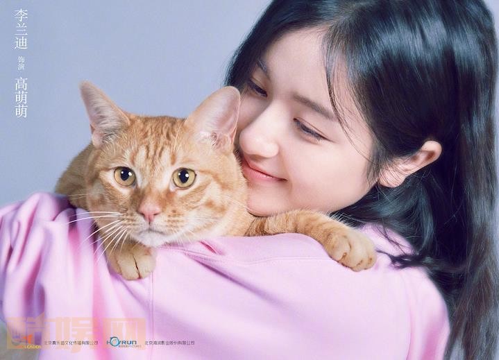 宠爱剧情介绍 宠爱剧照