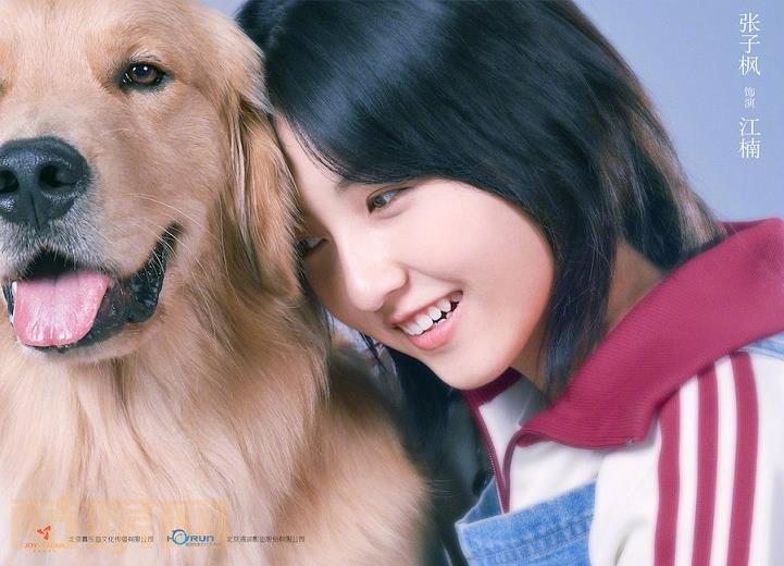 宠爱剧情介绍 宠爱剧照