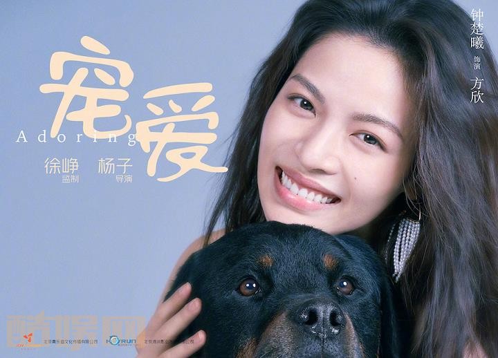 宠爱剧情介绍 宠爱剧照