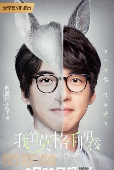 我的莫格利男孩海报