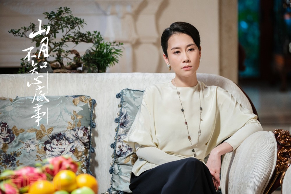 电视剧山月不知心底事剧情分集介绍第29集