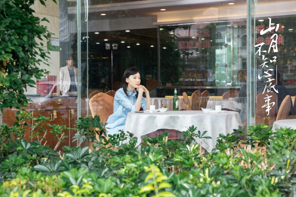 电视剧山月不知心底事剧情分集介绍第46集