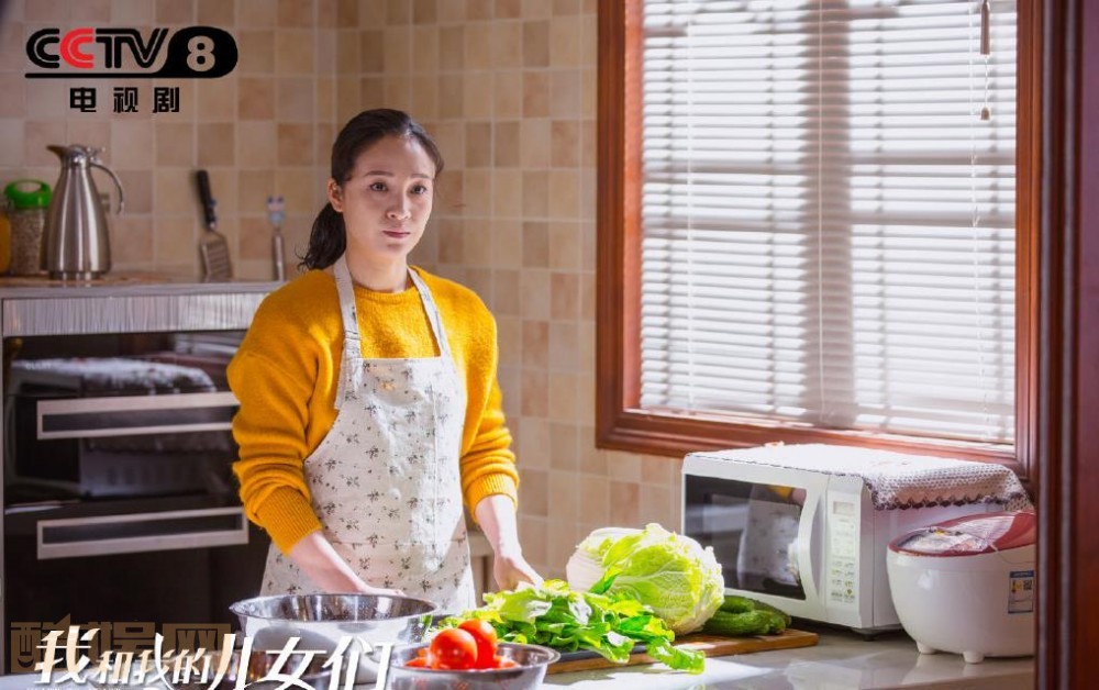 电视剧我和我的儿女们剧情分集介绍第8集