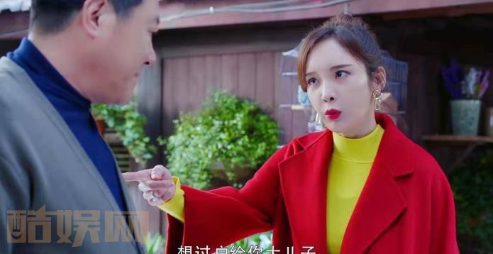 电视剧我和我的儿女们剧情分集介绍第27集