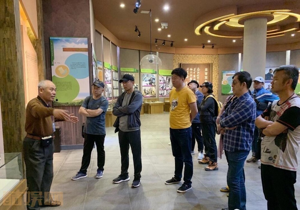 青山不墨剧情介绍