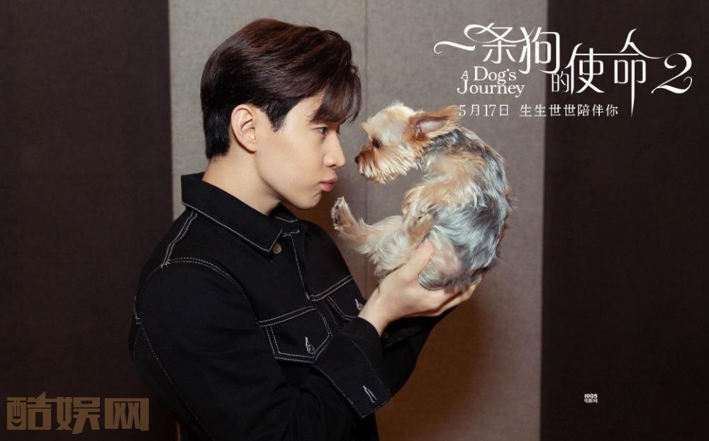 刘宪华个人资料简介 刘宪华电影剧照