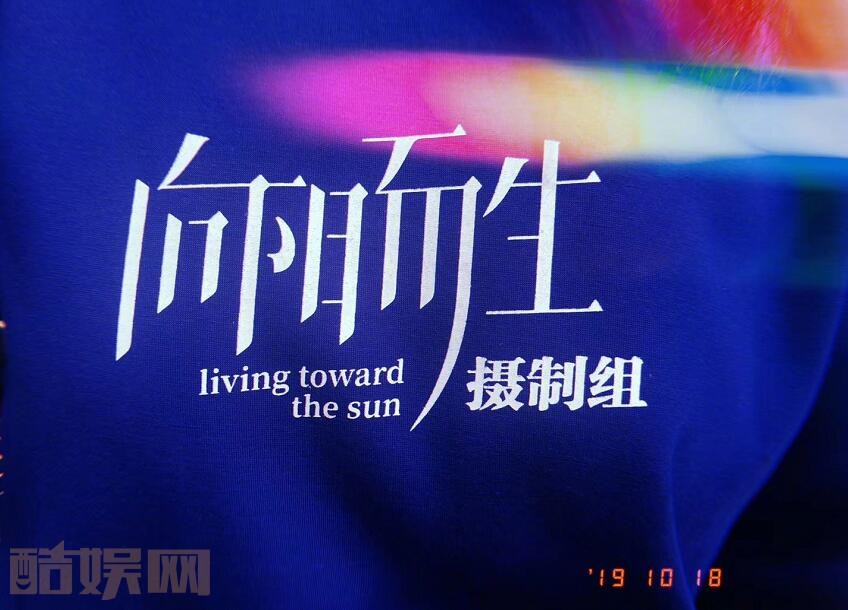 向阳而生剧情介绍