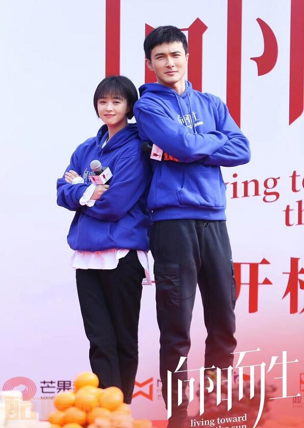 向阳而生剧情介绍
