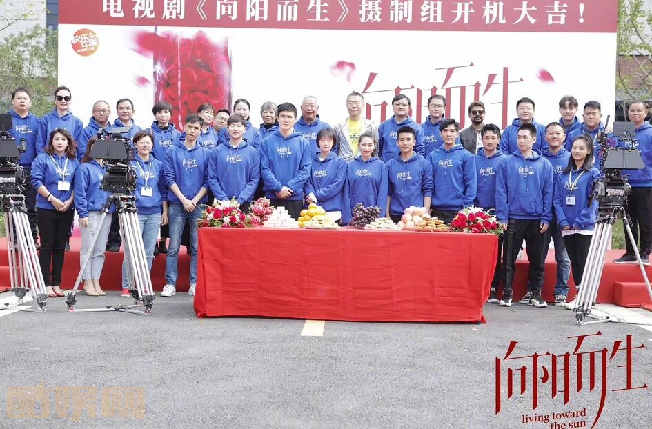 向阳而生剧情介绍