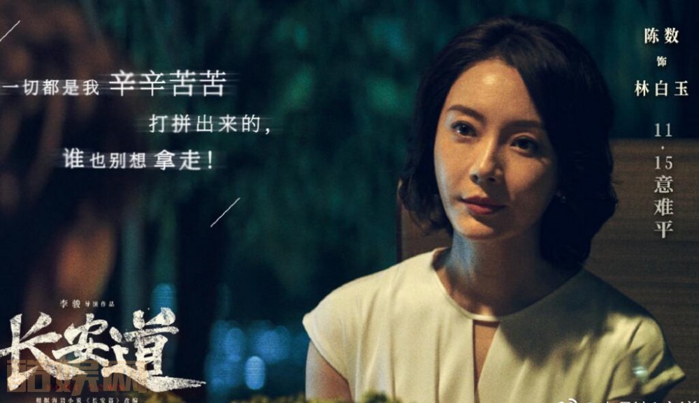 长安道剧情介绍