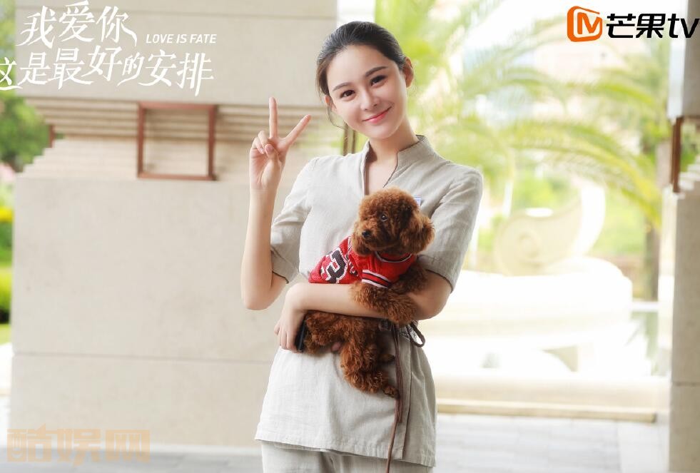电视剧我爱你这是最好的安排剧情分集介绍第41集