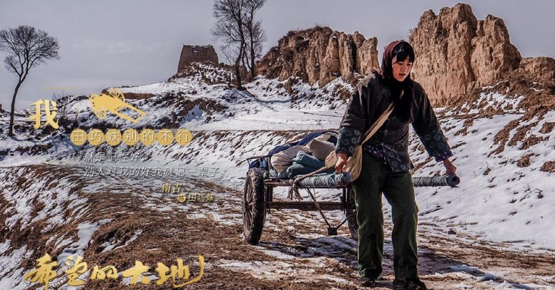电视剧希望的大地剧情分集介绍第13集