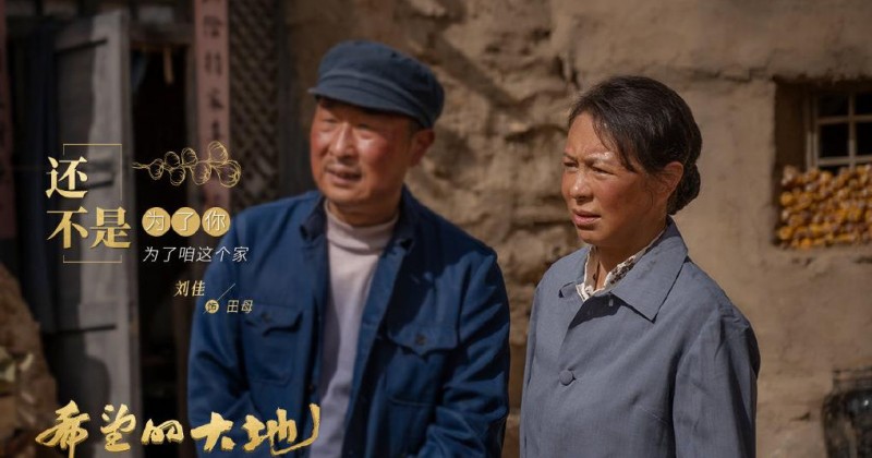 电视剧希望的大地剧情分集介绍第17集