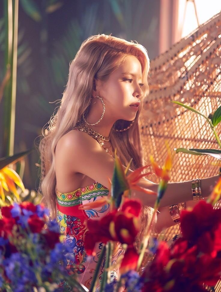 金容仙剧照合集