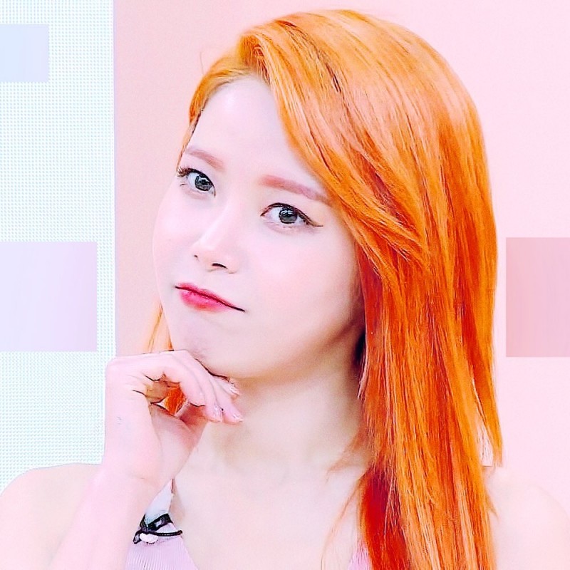 金容仙综艺节目照