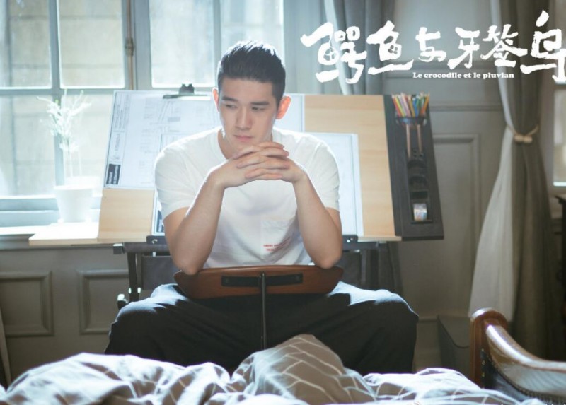 电视剧鳄鱼与牙签鸟剧情分集介绍第30集