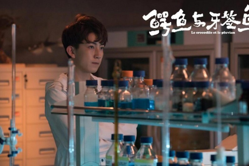 电视剧鳄鱼与牙签鸟剧情分集介绍第32集