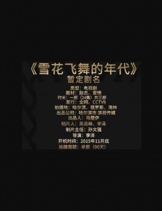 雪花飞舞的年代