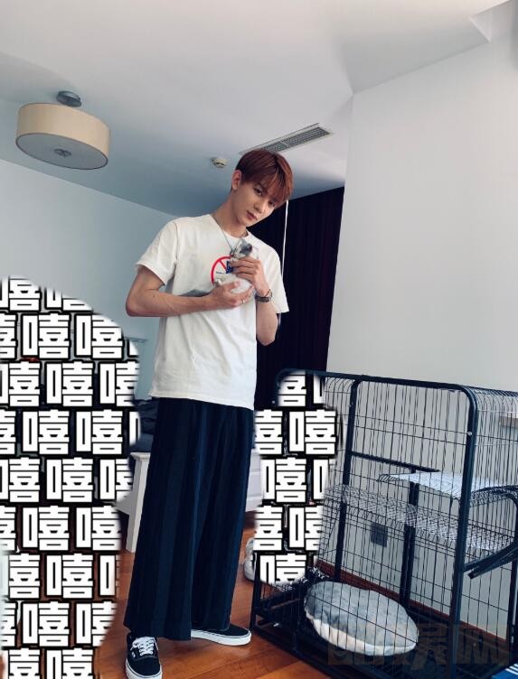 夏之光生活照