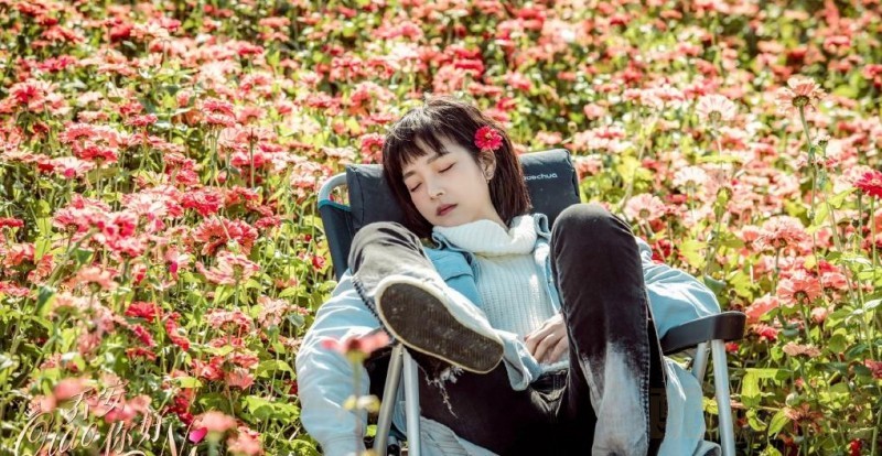 电视剧乔安你好剧情分集介绍第15集