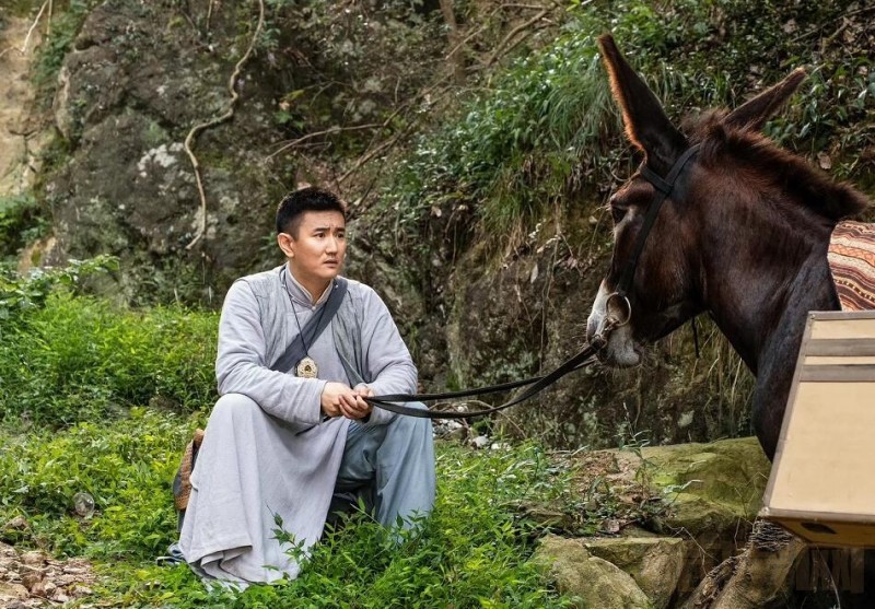 电视剧秀才点兵剧情分集介绍第7集