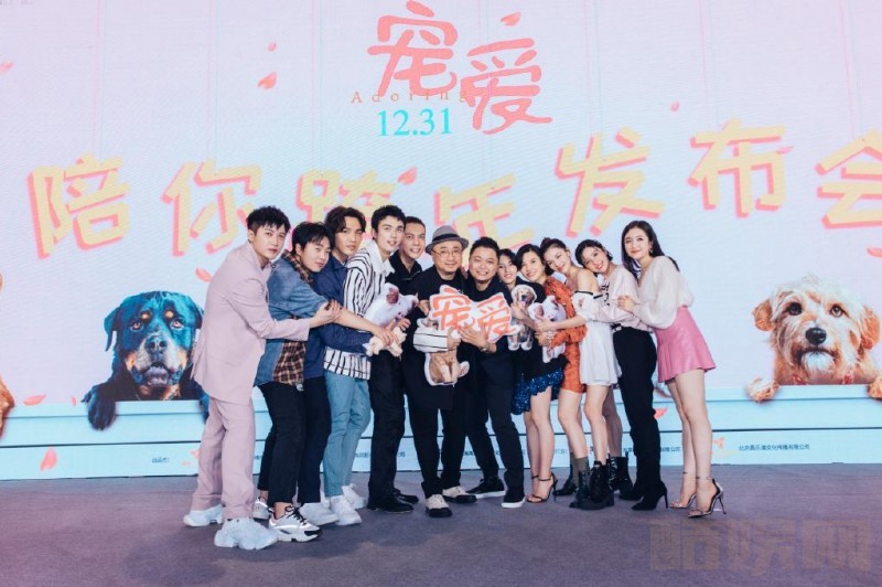 宠爱发布会