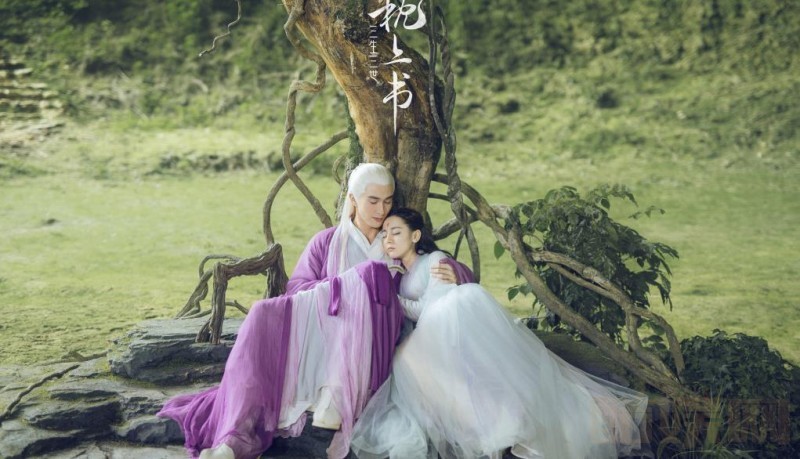 电视剧三生三世枕上书剧情分集介绍第17集
