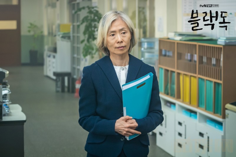电视剧黑狗剧情分集介绍第12集