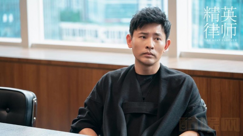 电视剧精英律师剧情分集介绍第20集