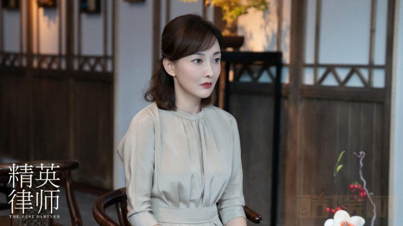 电视剧精英律师剧情分集介绍第40集
