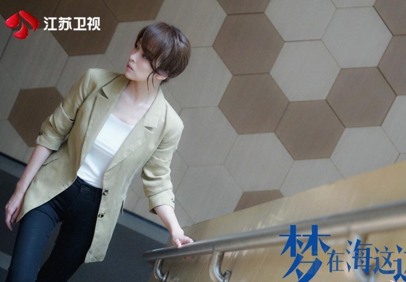 电视剧梦在海这边剧情分集介绍第29集