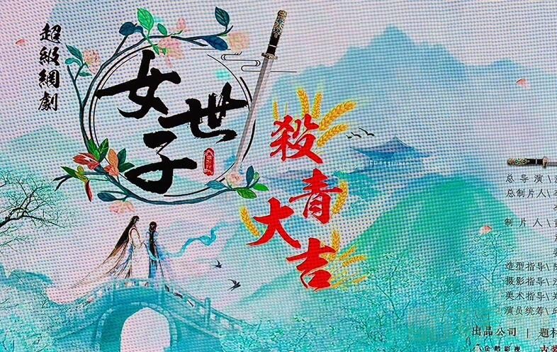 网剧女世子剧情介绍