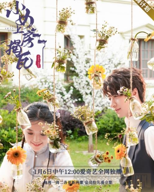 电视剧小女上房揭瓦剧情分集介绍第24集