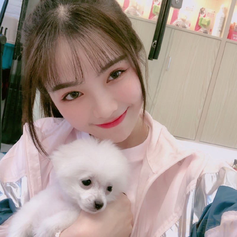 许杨玉琢萌宠照