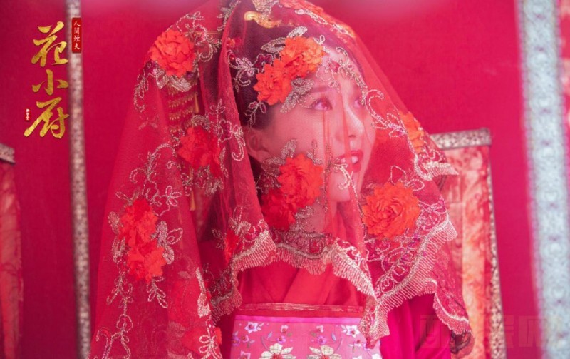 电视剧人间烟火花小厨剧情分集介绍第28集