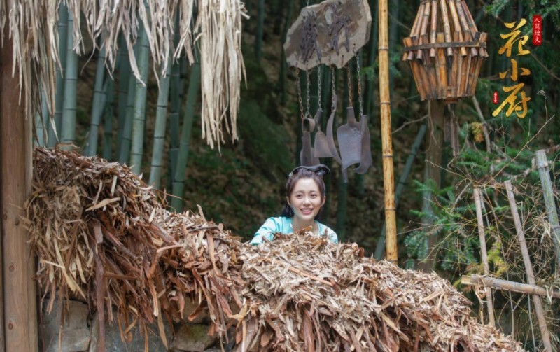 电视剧人间烟火花小厨剧情分集介绍第12集