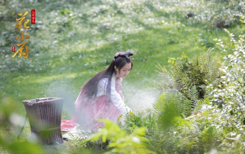 电视剧人间烟火花小厨剧情分集介绍第18集