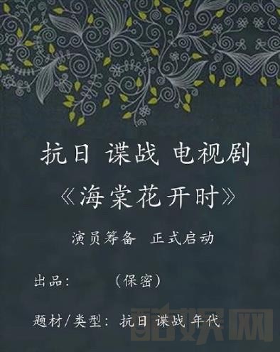 海棠花开时海报
