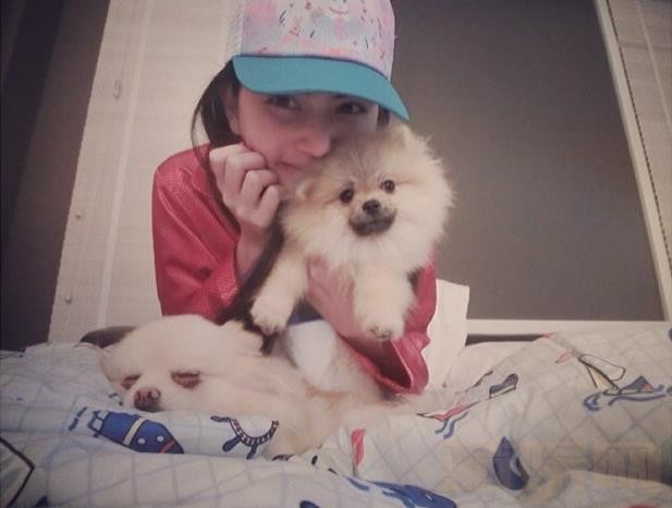 黛薇卡霍内萌宠照