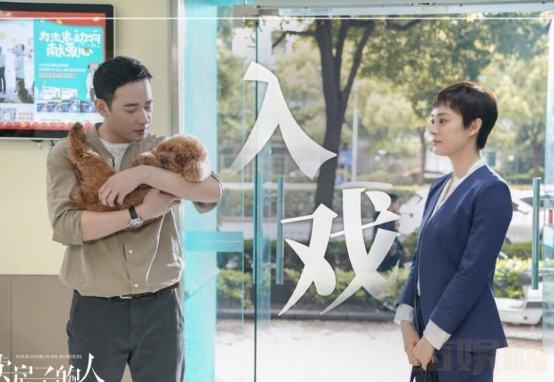 电视剧安家剧情分集介绍第3集