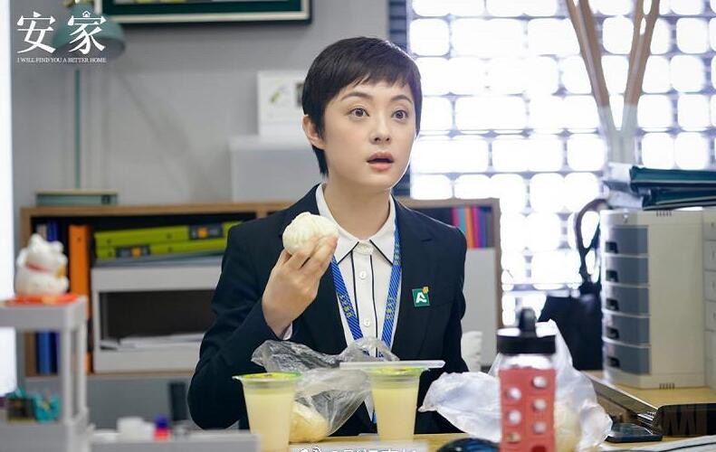 电视剧安家剧情分集介绍第41集
